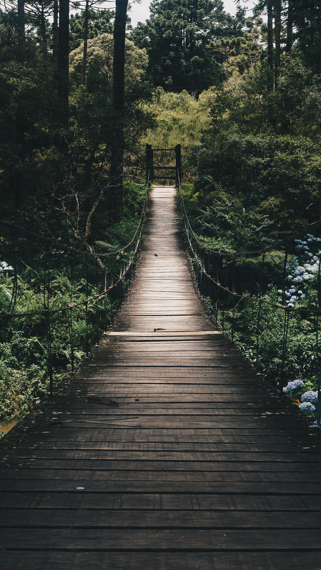 EcoForce – Full Stack Sustainable Living Platform